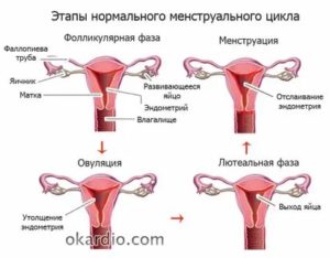 Могут ли после залета пойти месячные