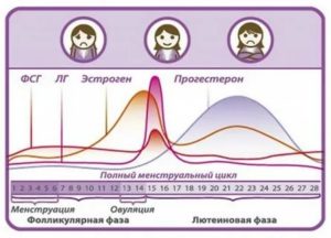 Как меняется настроение от менструального цикла