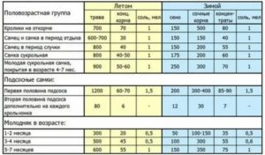 Как правильно кормить месячных крольчат