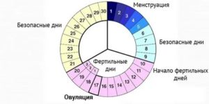 Могут ли пойти месячные на 22 день цикла