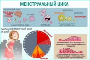 Как начинаются месячные при каком весе