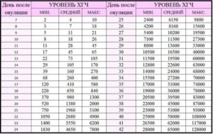 Через сколько дней после овуляции кровь на хгч показывает беременность