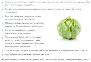 Как прикладывать капустный лист при кисте молочной железы