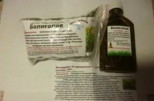Как пить болиголов при кисте молочной железы