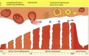 Могут ли после уколов прогестерона не начаться месячные