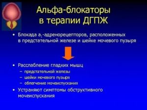 Что такое блокада для простата