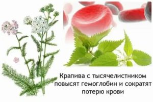 Крапива при климаксе как принимать