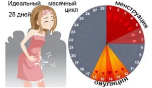 Могут ли из-за антибиотиков раньше времени начаться месячные