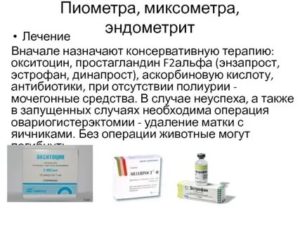 Какими антибиотиками лечится эндометрит