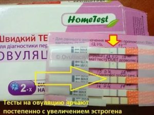 Когда происходит овуляция после отмены противозачаточных таблеток