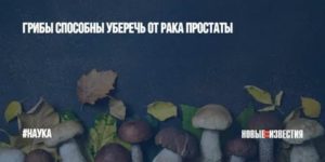 Грибы для лечения рака простаты