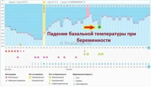 Какая должна быть базальная температура перед месячными за 5 дней до месячных