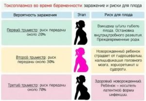 Признаки молочницы при беременности во втором триместре беременности
