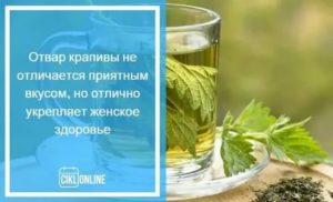 Как пить крапиву перед месячными