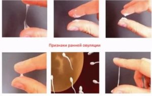 Может ли из за препаратов пропасть сперма