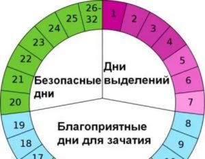 Может ли быть овуляция после скудных месячных