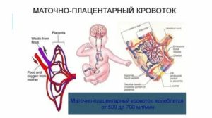 Маточно плацентарный кровоток при узи