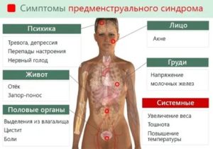 Какие симптомы когда начинаются месячные у женщин