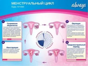 Могут ли начаться месячные второй раз за месяц на нервной почве