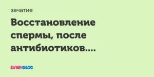 Чем восстановить сперму после антибиотиков