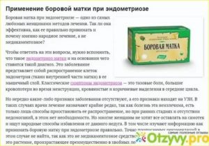 Какие травы пить при эндометриозе матки отзывы