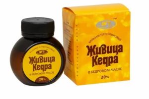 Живица кедровая при кандидозе