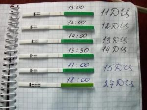 Когда происходит овуляция после отмены противозачаточных таблеток