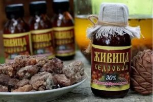 Живица кедровая при кандидозе