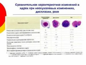 Цитологическая и гистологическая диагностика заболеваний шейки и тела матки