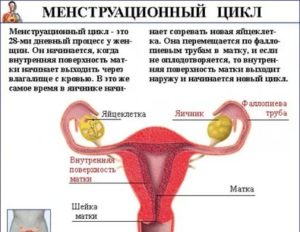 Могут ли приливы быть при месячных или если начались приливы то нет и месячных