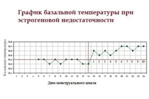 Какая температура в прямой кишке при климаксе