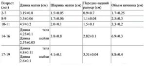 Размеры яичников в норме по узи у нерожавших