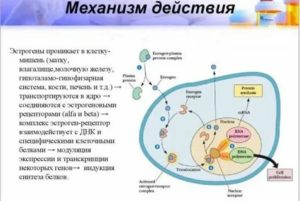 Прогестерон зависимые опухоли молочной железы