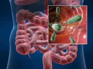 Можно ли заразиться кандидозом кишечника от больного