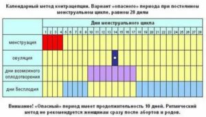 Когда овуляция после месячных если цикл 25 дней