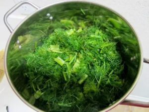 Как приготовить отвар укропа для месячных