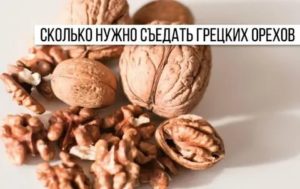 Сколько нужно съедать грецких орехов в день мужчине для потенции