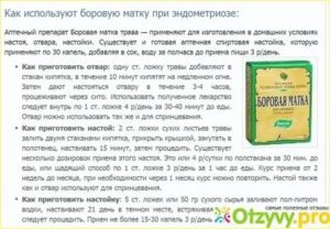 Какие травы пить при эндометриозе матки отзывы