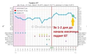 Какая температура в первый день менструации