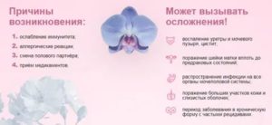 С чем можно перепутать молочницу у женщин