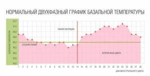 Какая базальная температура во время месячных норма и после месячных