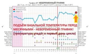 Какая должна быть базальная температура перед месячными за 5 дней до месячных