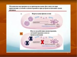 Андрогенный прайминг какие препараты