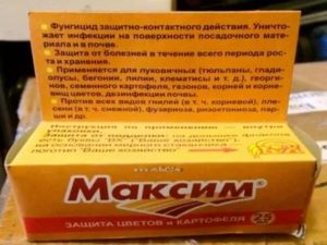 Препарат для обработки семенного картофеля максим