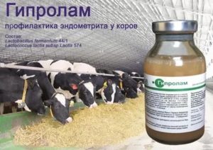 Ветеринарные препараты для лечения эндометрита у коров