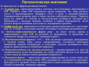 Опухоли молочной железы патологическая анатомия реферат