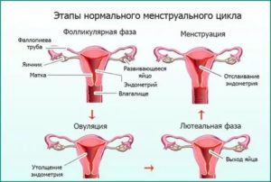 Могут ли месячные задержаться из-за уколов