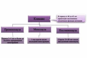 Роль яичников при климаксе