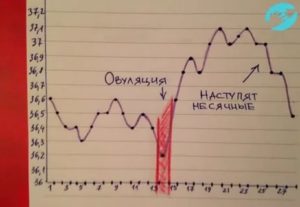 Какая ректальная температура за день до месячных