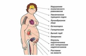 Как надпочечники влияют на месячные